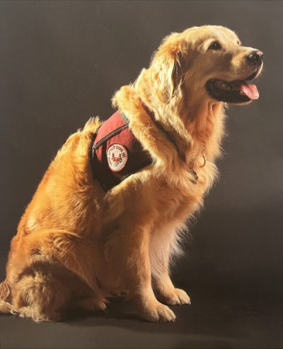 Meet Marti, beloved service dog to our founder Carol Roquemore.